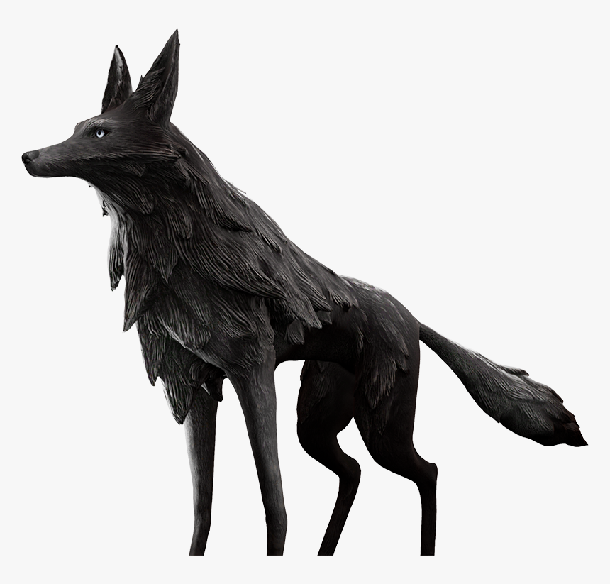 Schipperke, HD Png Download