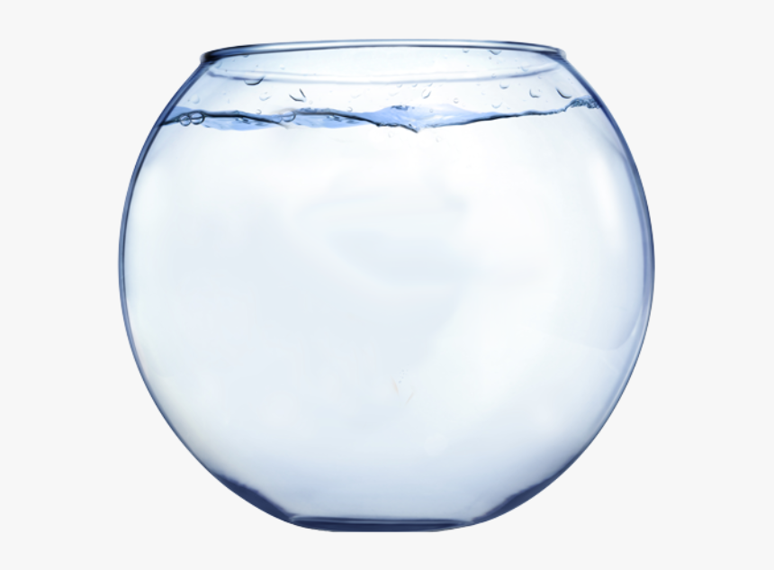 Aquarium Math Fish Clip Art - Fish Bowl Transparent Background, HD Png Download