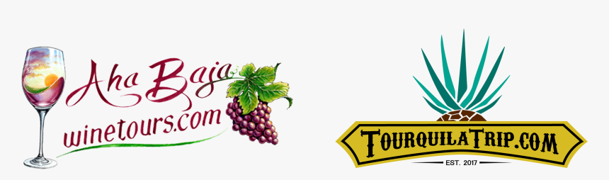 Aha Baja Wine Tours - Seedless Fruit, HD Png Download