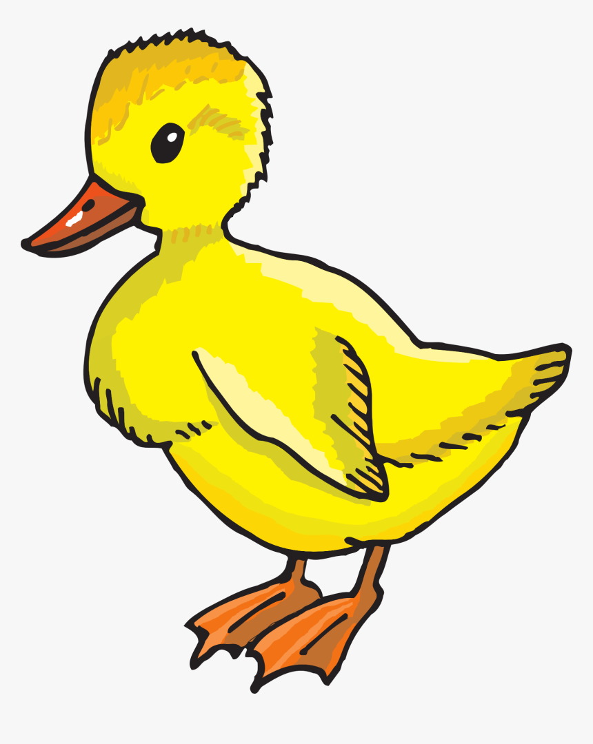 Duckling Clipart, HD Png Download