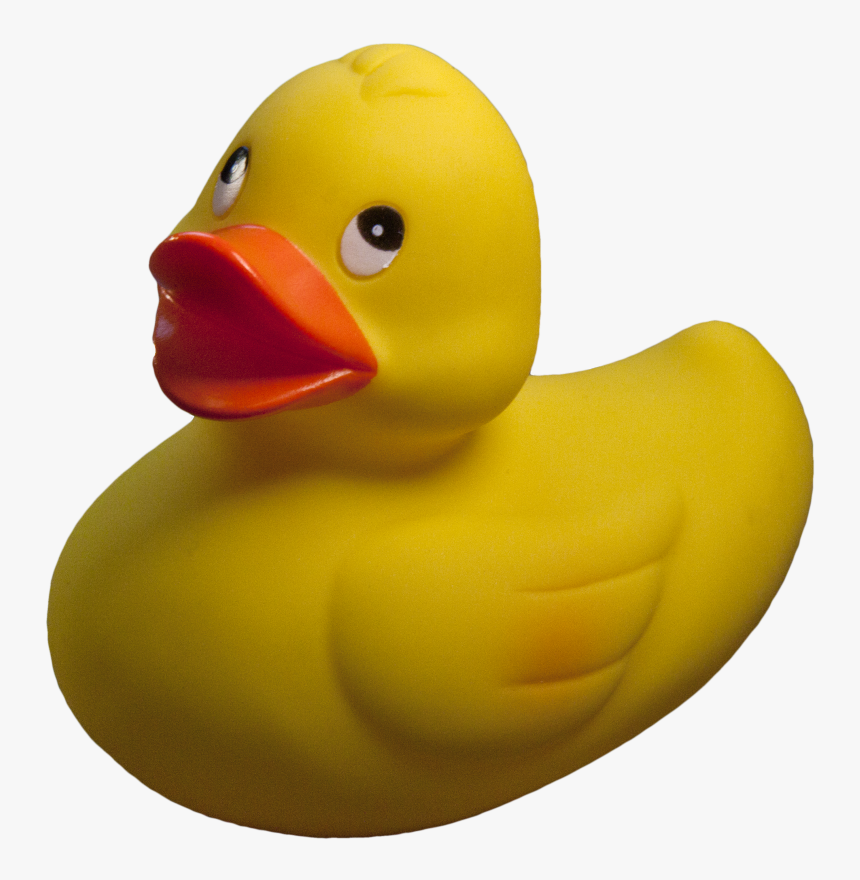 45727 - Rubber Duck Transparent Background, HD Png Download