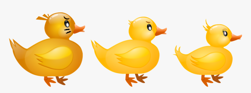 Farm Duck Png - Five Little Duck Png, Transparent Png