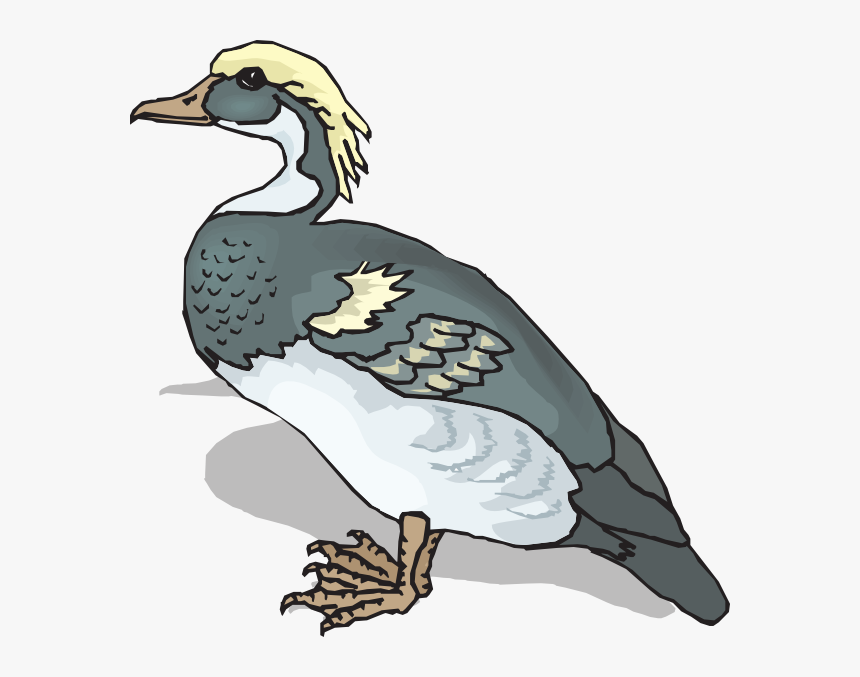 Blue And Yellow Duck Svg Clip Arts - Clip Art, HD Png Download