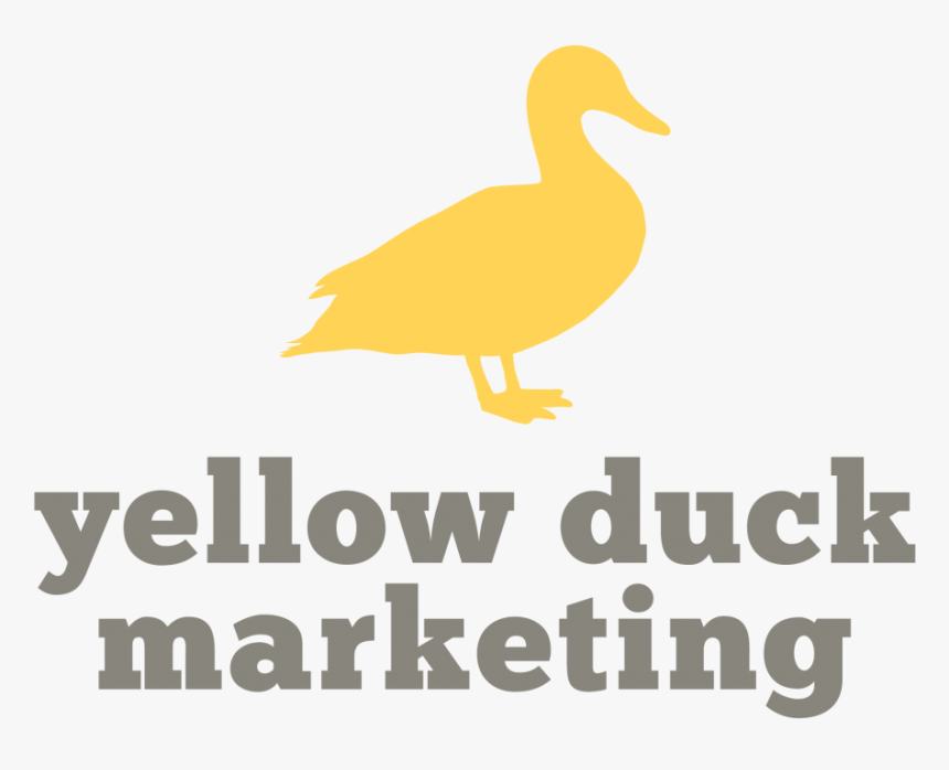 Cake, HD Png Download