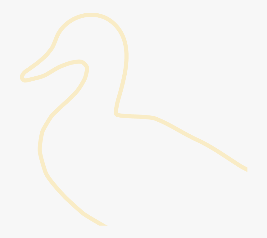 Duck, HD Png Download