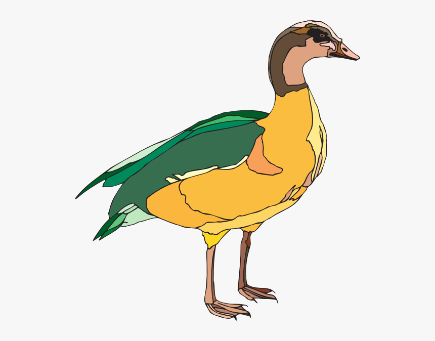 Yellow And Green Duck, HD Png Download