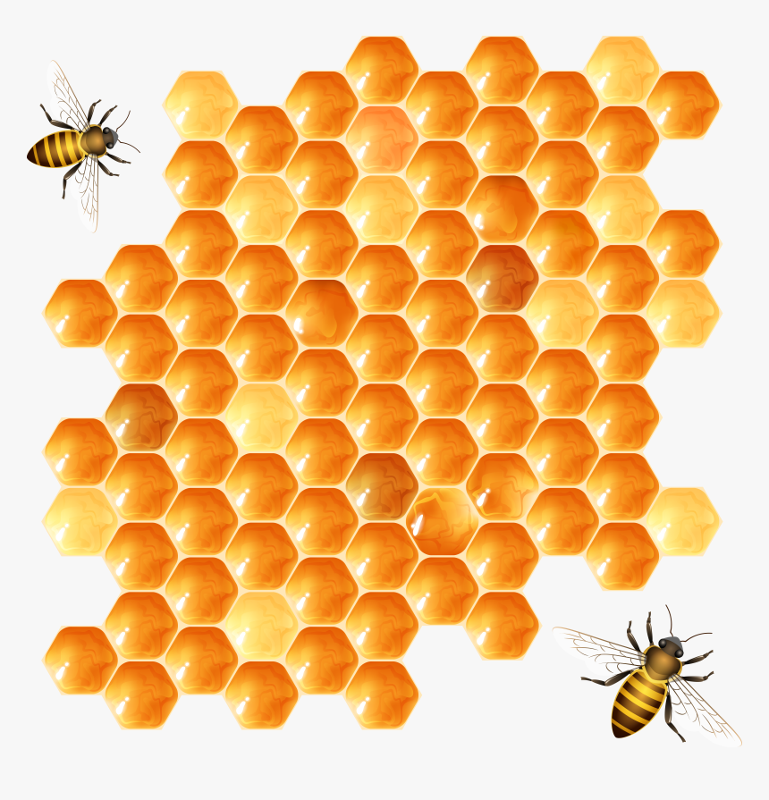 Honeycomb Png, Transparent Png