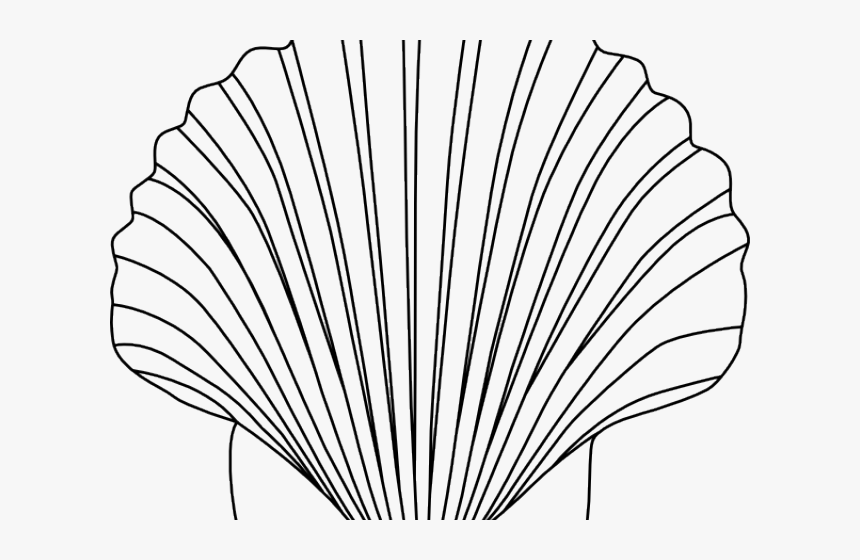 Shell Clipart Small Shell - Free Seashell Clipart Black And White, HD Png Download