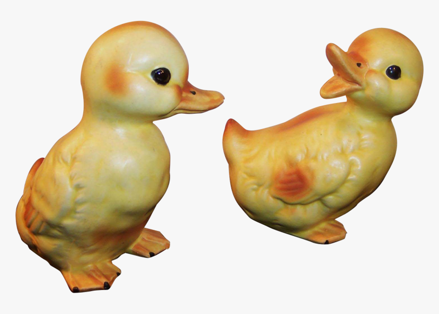 Duck, HD Png Download