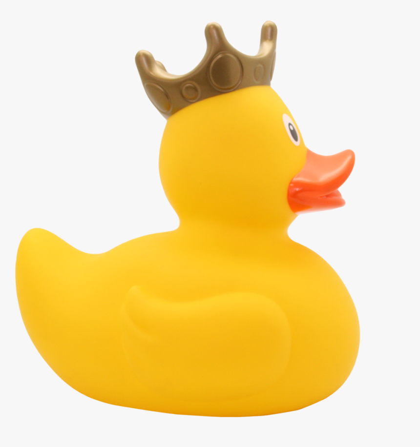 Duck, HD Png Download
