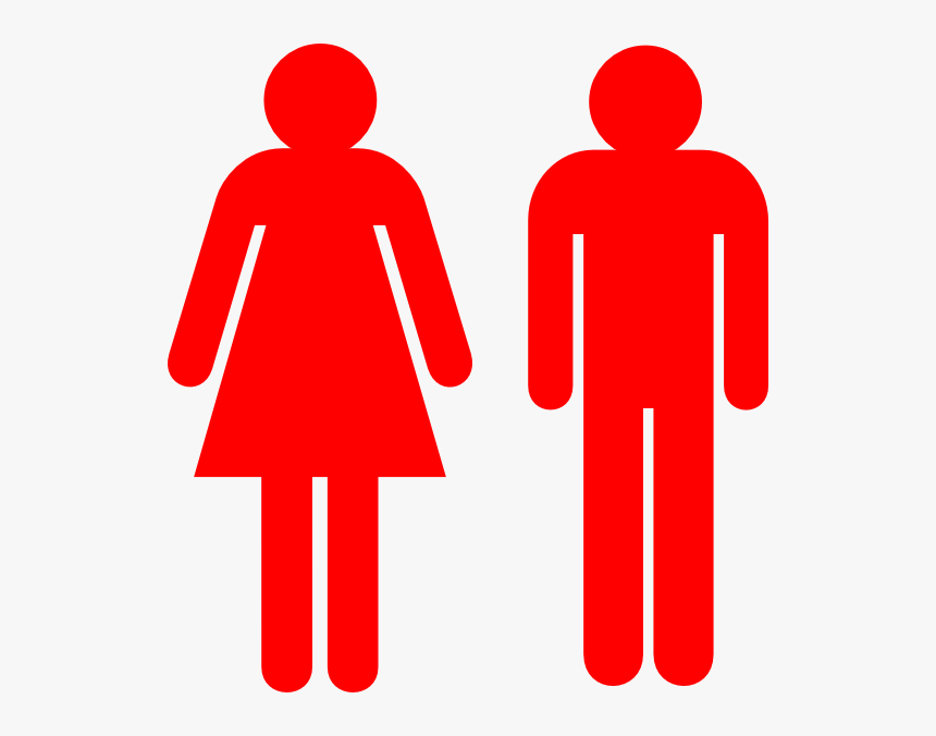 Infographic Male And Female, HD Png Download