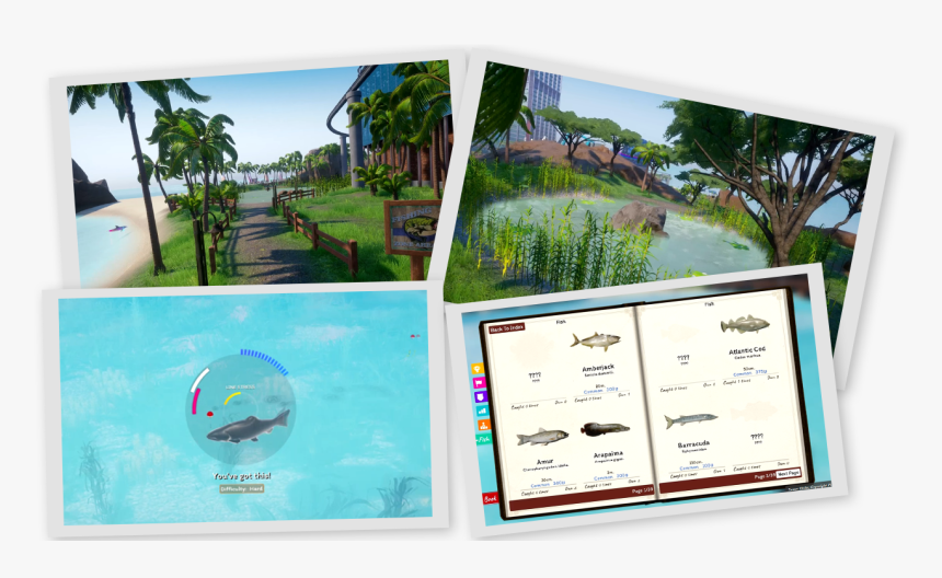 Attalea Speciosa, HD Png Download