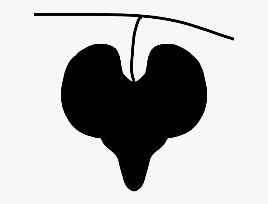 Heart Clip Art Silhouette Tree Line - Heart, HD Png Download