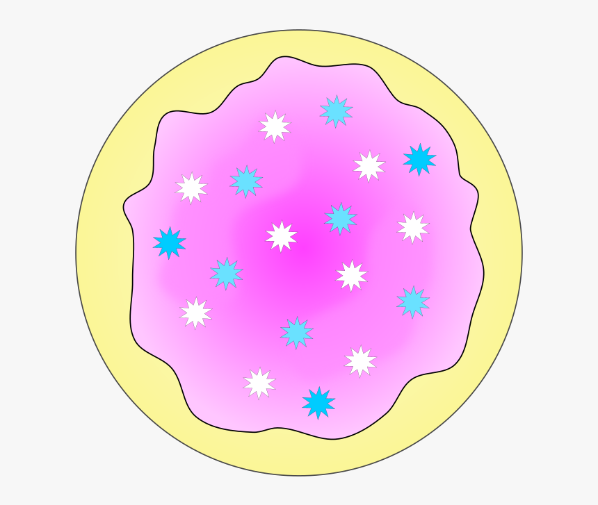 Flower,petal,oval - Sugar Cookie Cookies Clipart, HD Png Download