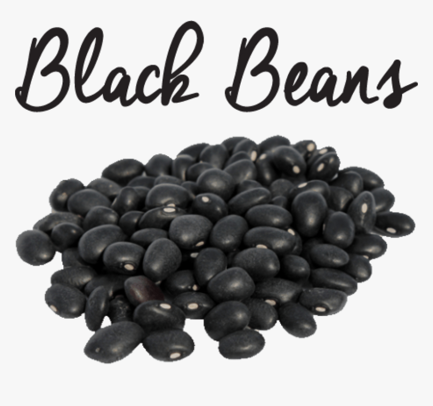 Png Black Beans - Black Beans In Urdu, Transparent Png