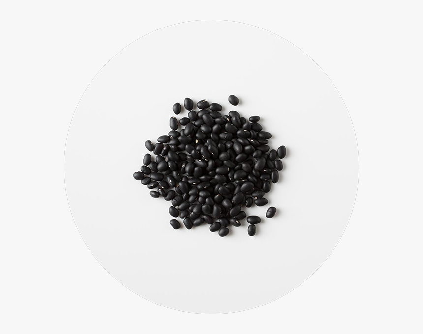 Transparent Black Beans Png - Black Bean Png, Png Download