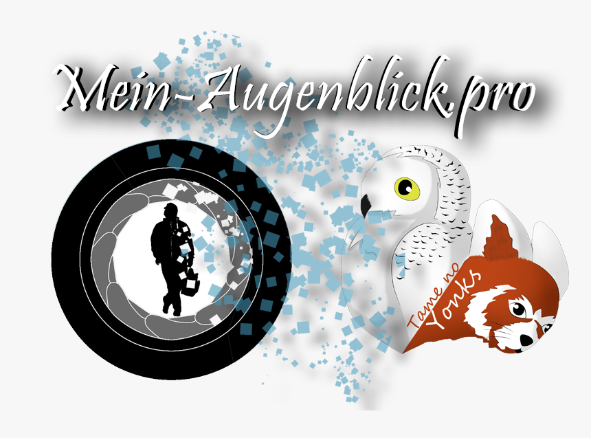 Katniss Everdeen Von Die Tribute Von Panem Von Bluekitty - Illustration, HD Png Download