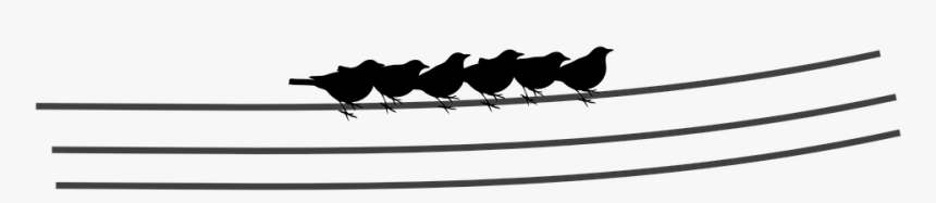 Electric Lines, Birds, Sitting, Silhouettes - Silhouette, HD Png Download