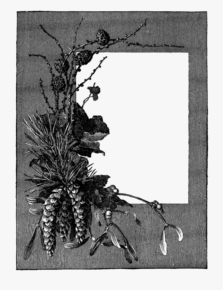 Gray Flower Frame Png File - Portable Network Graphics, Transparent Png