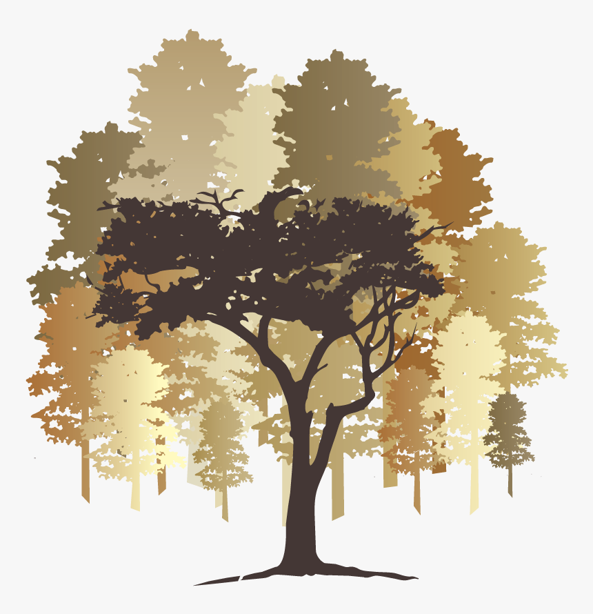 Cafe Itto Si - Plane-tree Family, HD Png Download