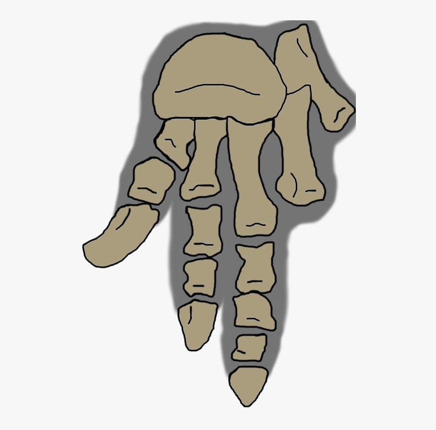 Clip Art, HD Png Download