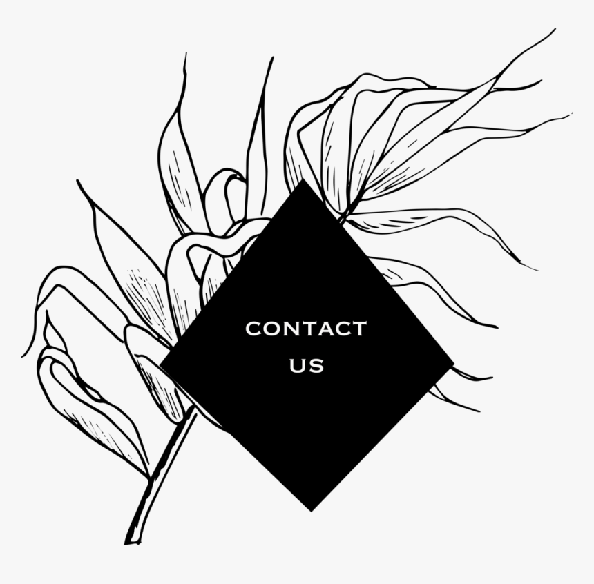Contact Us - Illustration, HD Png Download