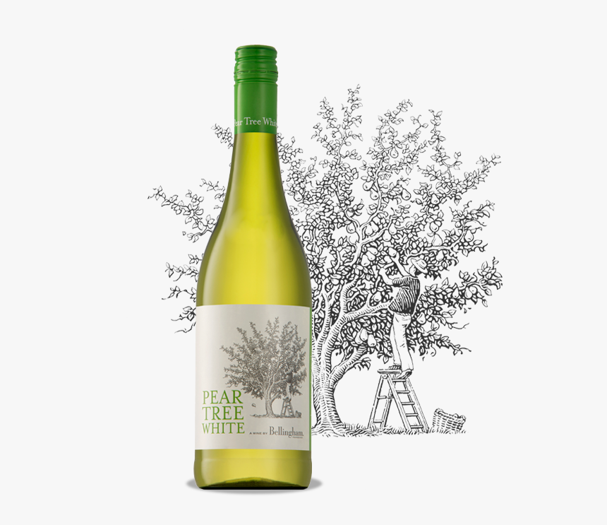 Transparent Pear Tree Png - Bellingham Pear Tree White, Png Download