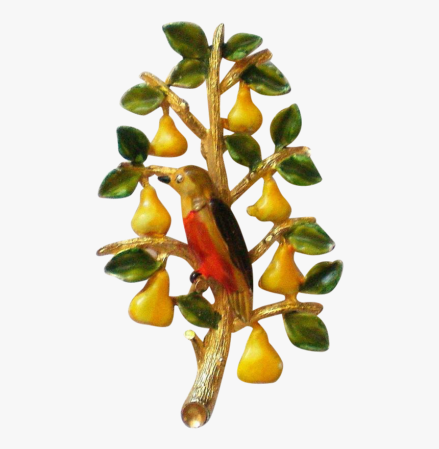 Fruit, HD Png Download