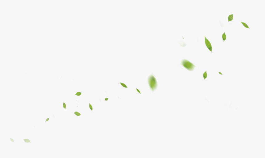 Banner - Leaf, HD Png Download