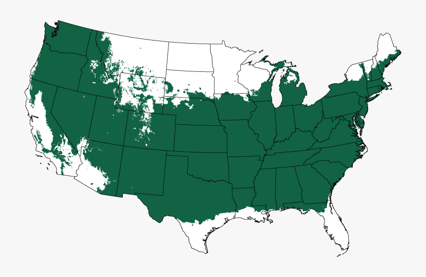 Transparent Pear Tree Png - California Rednecks, Png Download