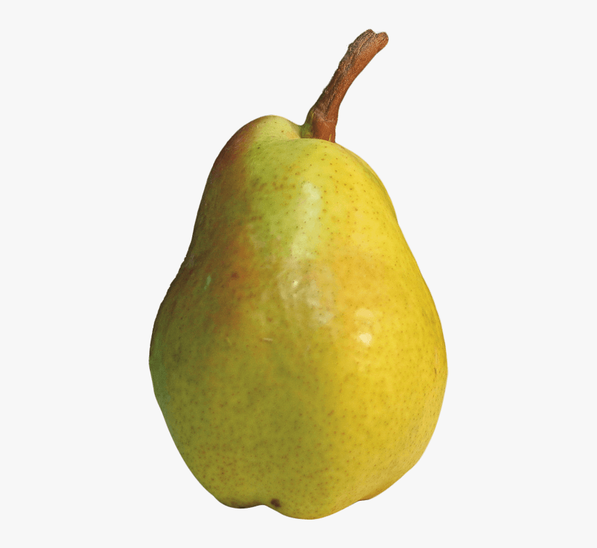 Hd Transparent Images Pluspng - Pear Png, Png Download