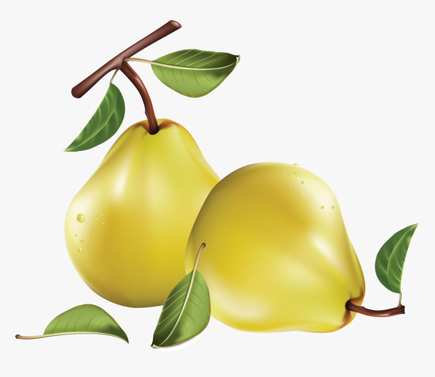 Pear Png Image - Pears Free Clip Art, Transparent Png