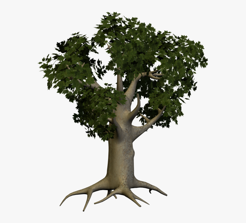 3d Papaya Tree Png - Big Tree Png, Transparent Png