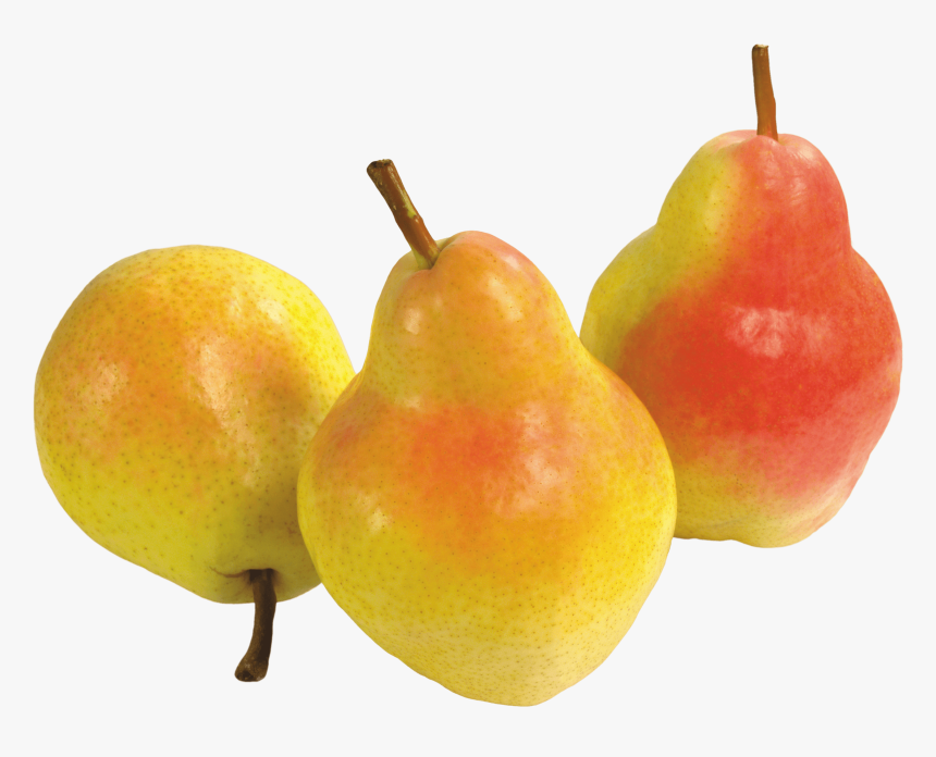 Pear Png Image - Груши Png, Transparent Png