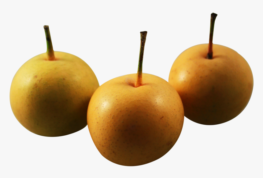 Download Asian Nashi Pear Png Image, Transparent Png