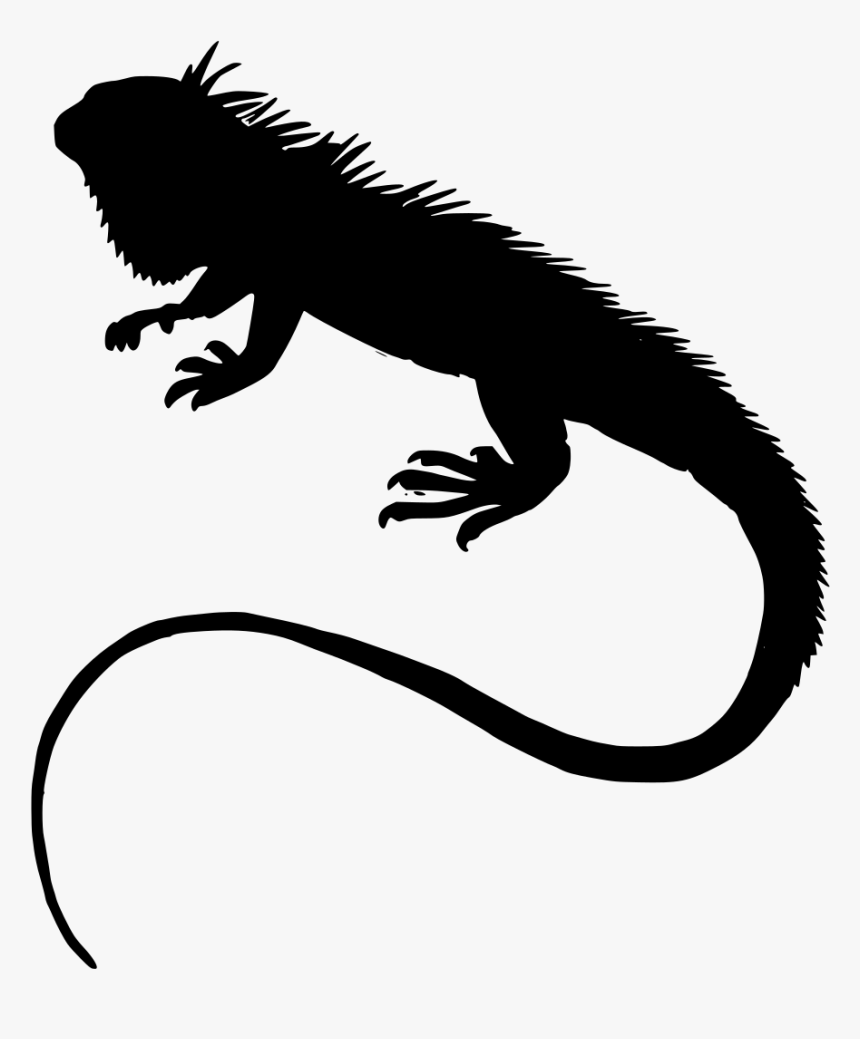 Silueta Iguana Png, Transparent Png