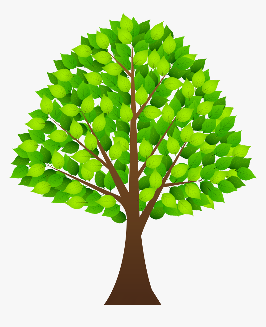 Transparent Background Tree Clipart Transparent, HD Png Download
