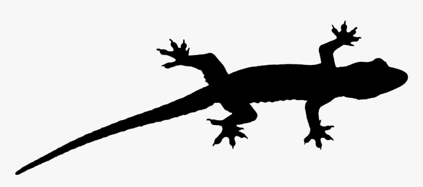 Gecko Lizard Fauna Font Silhouette - Gecko Silhouette, HD Png Download