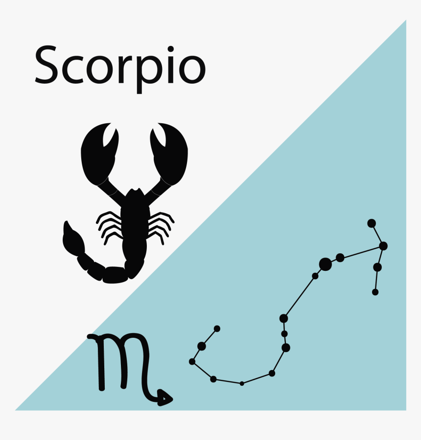 Homarus, HD Png Download