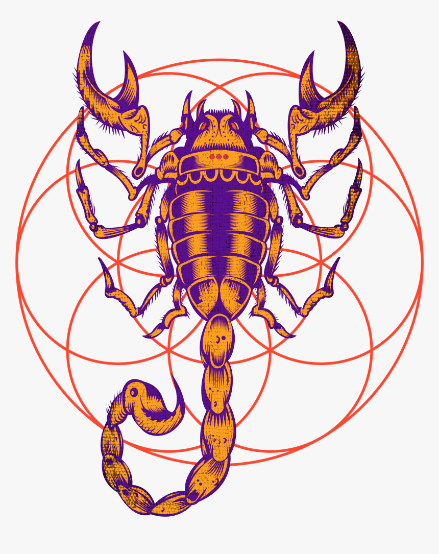 Scorpio Zodiac Sign Art, HD Png Download