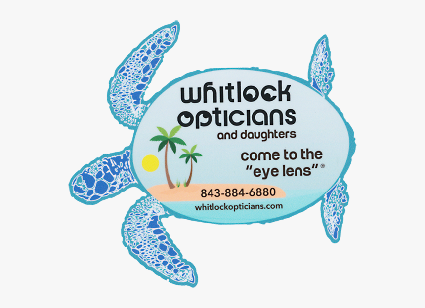 Whitlock Opticians - Green Sea Turtle, HD Png Download