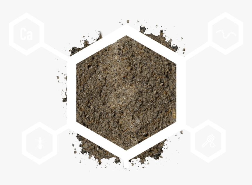 Poster, HD Png Download