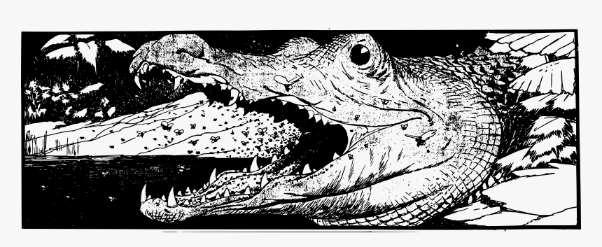 Reptile,art,monochrome Photography - Kepala Buaya Hitam Putih, HD Png Download