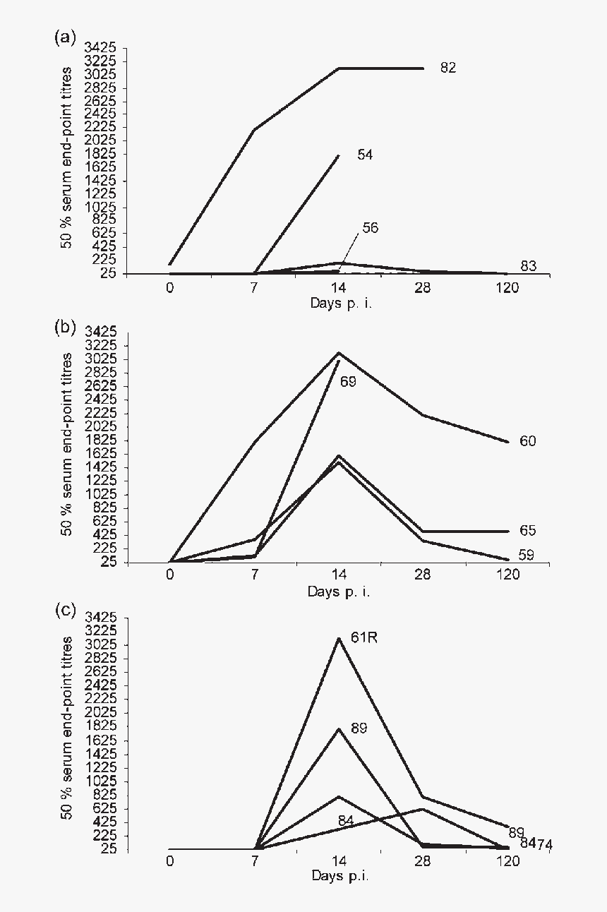 Diagram, HD Png Download