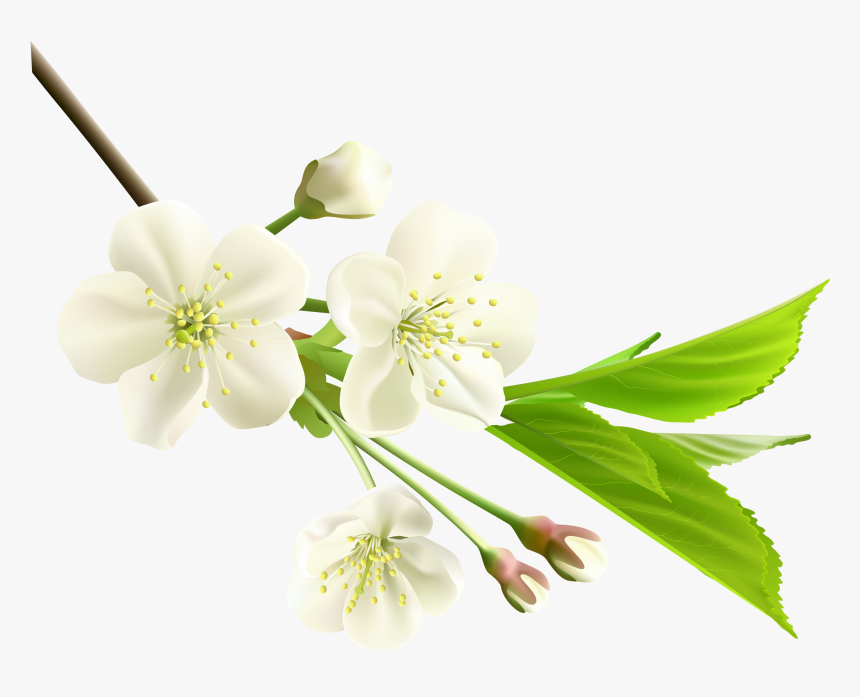Deepest Condolences To The Family, HD Png Download
