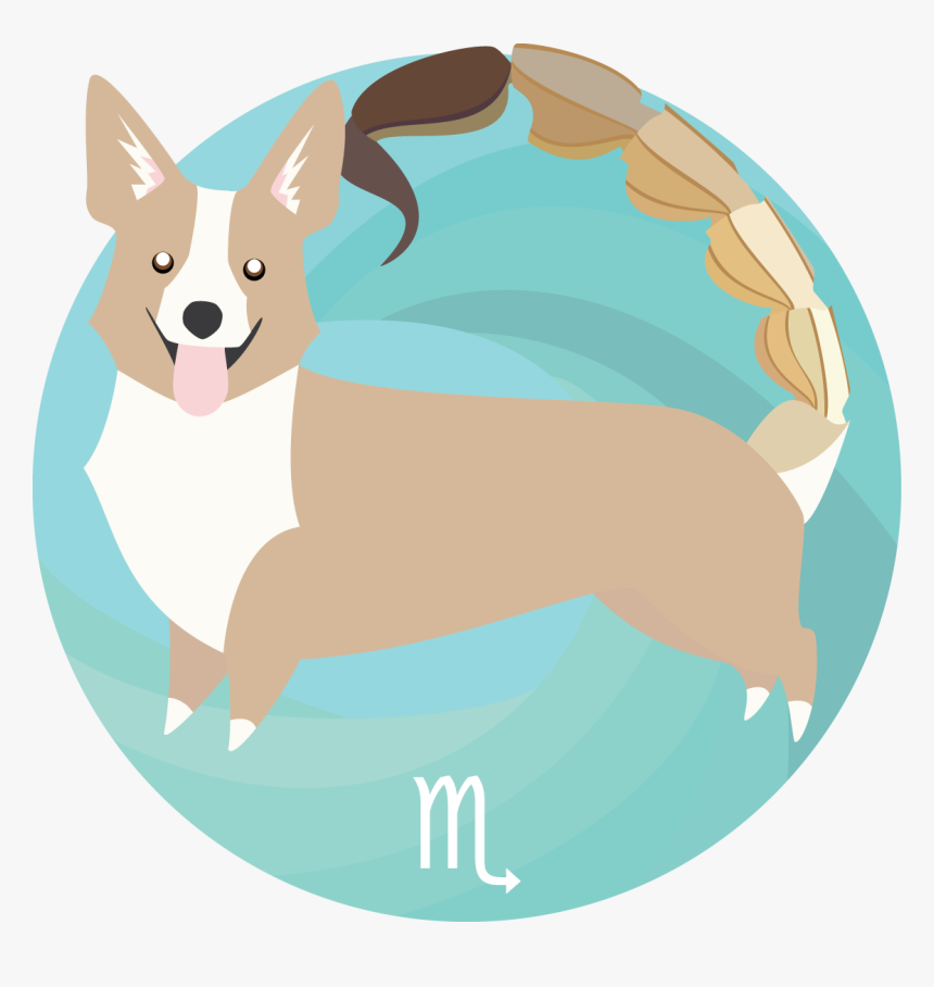 Pembroke Welsh Corgi, HD Png Download