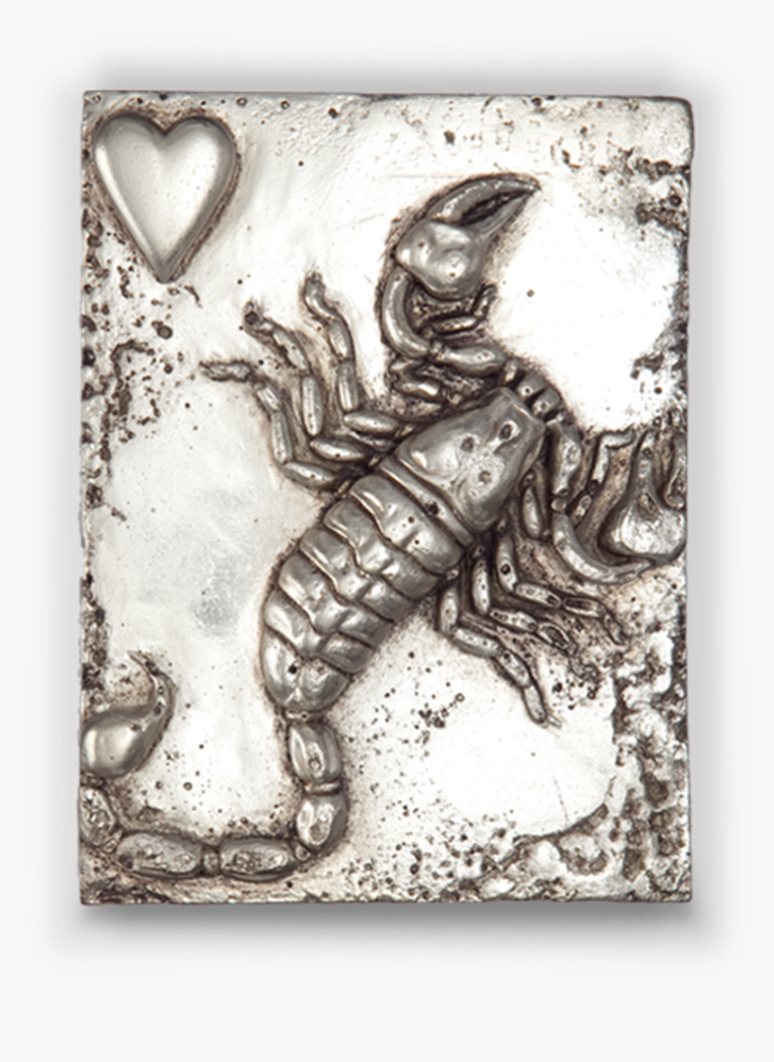 Scorpion, HD Png Download