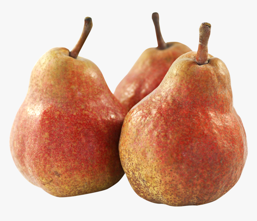 Tree Png Transparent Image - Fruit Png, Png Download