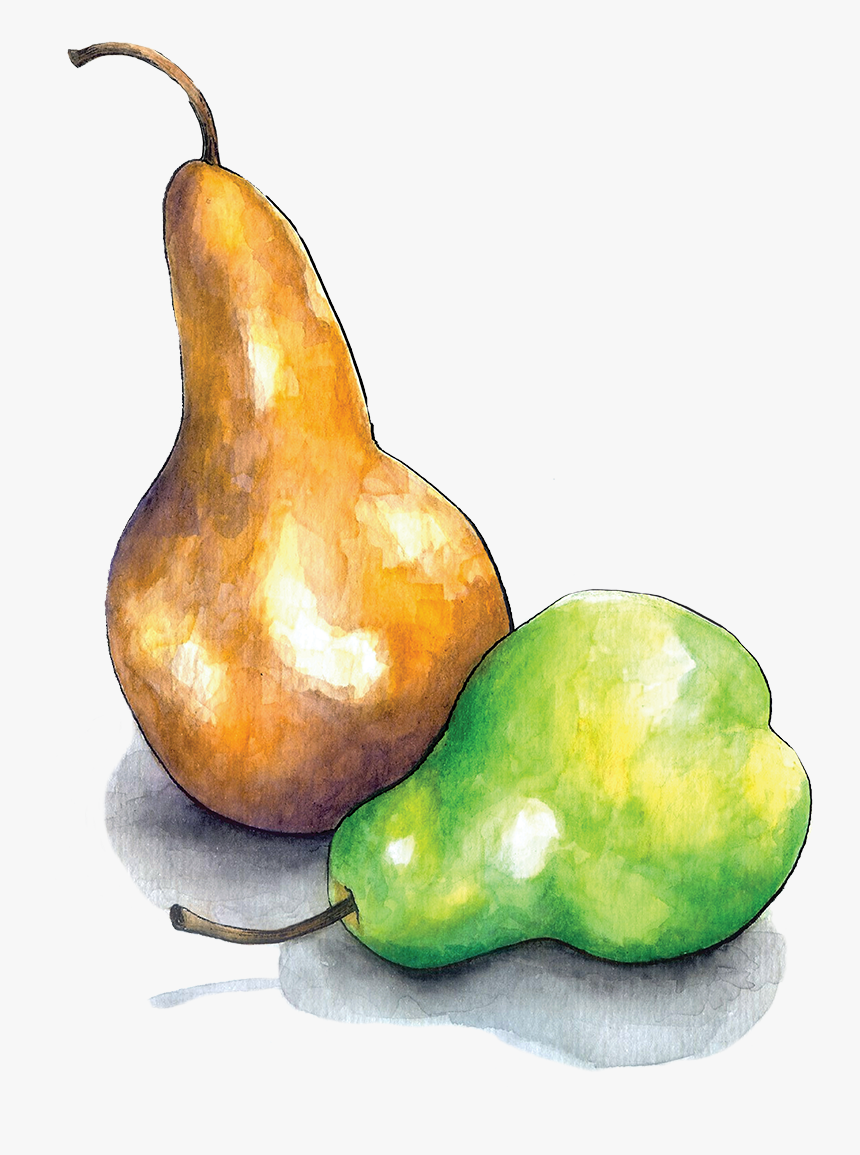 Pears - Still Life Photography, HD Png Download