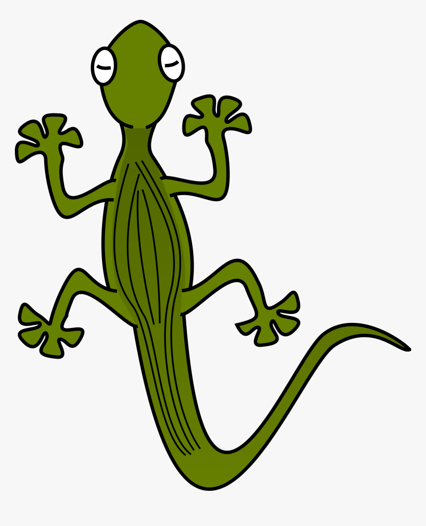 Gecko - Lizard Clip Art, HD Png Download